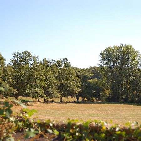 Gite Du Vieux Charme Villa Saint-Amand-en-Puisaye Dış mekan fotoğraf